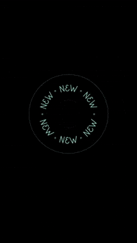 laura-quantin-studio new newpost nouveau lauraquantinstudio GIF