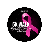 Breast Cancer Fight Sticker by Elev8