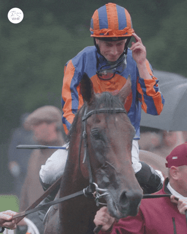 Celebrate Ryan Moore GIF by World Horse Racing