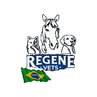 Regenevets botucatu celulas tronco medicina regenerativa fisioterapia veterinaria Sticker