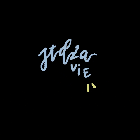 vagarde giphygifmaker std2a vagarde std2avie GIF