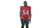 Tampa Bay Football Sticker by Tampa Bay Buccaneers