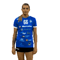 Handball Slovenia Sticker by RK Krim