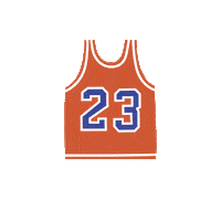 Basketball Chicago Sticker by Yumi