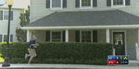 teamcoco cat cats conan obrien running away GIF