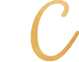Studio Dc Sticker by Pole & Aerial Divas
