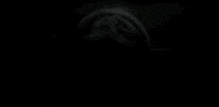 Jurassic World Movie GIF