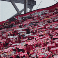 Rts GIF by Widzew Łódź