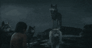 jon favreau disney GIF by Disney's The Jungle Book