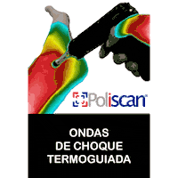 Screening Termografia Sticker by Poliscan