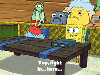 season 4 the lost mattress GIF by SpongeBob SquarePants
