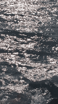 Water Motion GIF