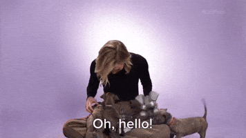 Hello!
