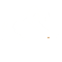 Rain Autumn Sticker by vetconcept