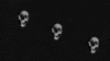 day of the dead dancing GIF by Peter Bjorn and John