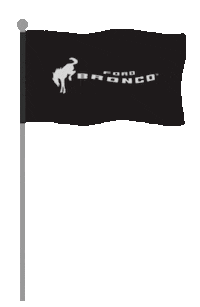 Ford Bronco Bandera Sticker by FordMX