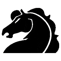 Dia Calavera Sticker by Grupo Bronco