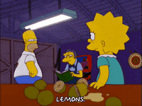 homer simpson episode 3 GIF