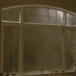 xcbcvccxscxcv giphyupload GIF