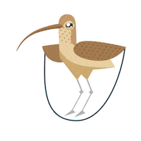 Bird Curlew Sticker by RSPB
