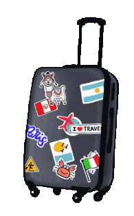 Proyecto Sticker