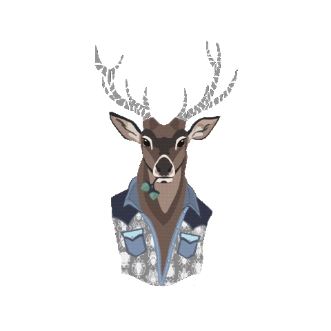 LilaLotta giphyupload funny animal forest Sticker