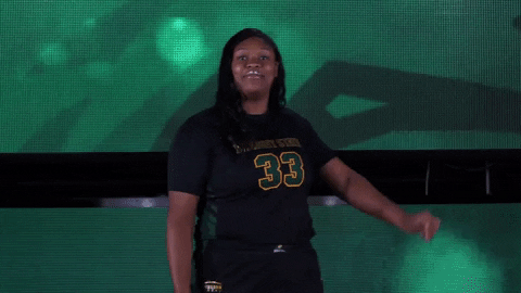 Happy Ncaa Sports GIF by Wright State University Athletics