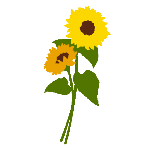 amayajade giphyupload instagram flowers yellow Sticker