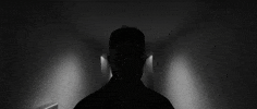Music Video Portland GIF by Casanova Records