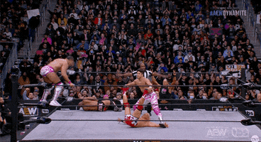 Jeff Jarrett Wrestling GIF by AEWonTV