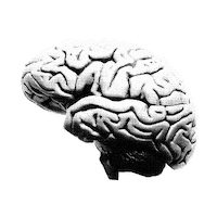 Brain Lab Sticker by Your One and Only