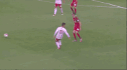 new york red bulls rbnyii GIF by NYRB II