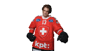 Celebrate New Jersey Devils Sticker by Swiss Ice Hockey