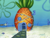 season 6 episode 10 GIF by SpongeBob SquarePants