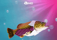 GIF by Linio Colombia