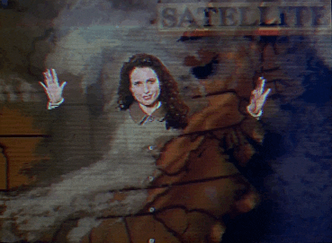 groundhog day GIF