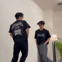 Stray Kids Skz GIF