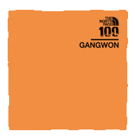 thenorthface100_gangwon trail running the north face tnf100 the north face 100 Sticker