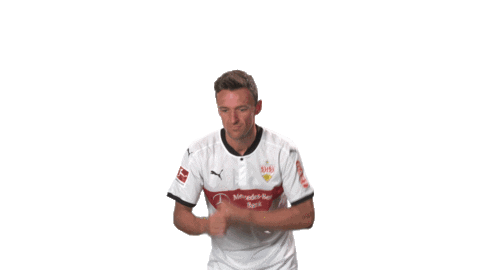 happy vfb stuttgart Sticker by Bundesliga