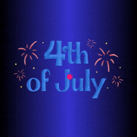 4Th Of July Fireworks GIF by Maria Johnsen