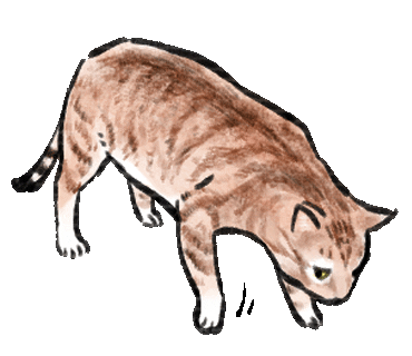 Cats Diss Sticker