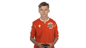 Hannover 96 Fifa Sticker by Bundesliga