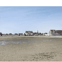 war canadians GIF by GoPop