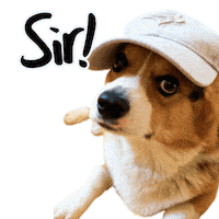 Baseball Yes Sticker