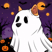 Trick Or Treat Dog GIF by Doge Pound