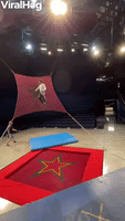 Cirque du Soleil Acrobat Misses the Net