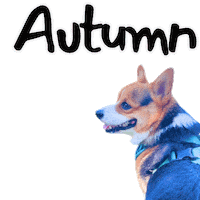 Fall Autumn Sticker