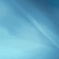 Joe Biden GIF by Creative Courage