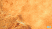 fire finale GIF by Game of Thrones
