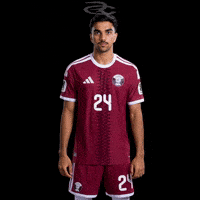 Fifa World Cup Qatar GIF by Respective